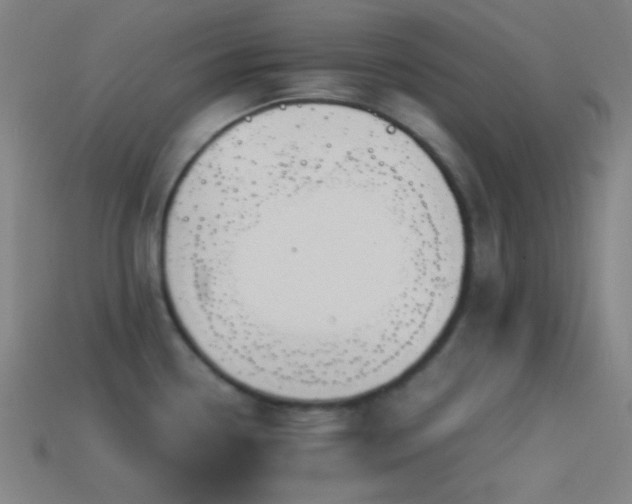 X0000114411338200910161157