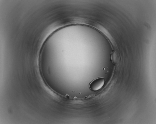 X0000114411339200910161157