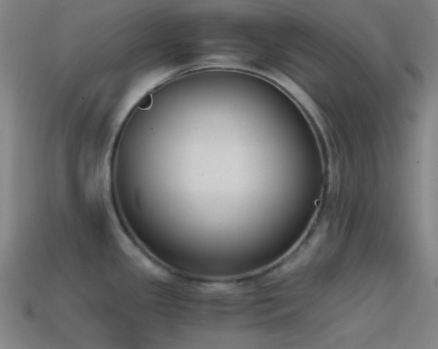 X0000114411341200910161157