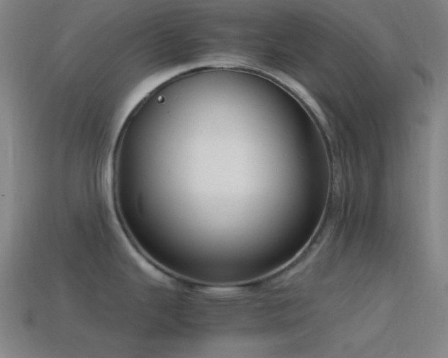 X0000114411343200910161158
