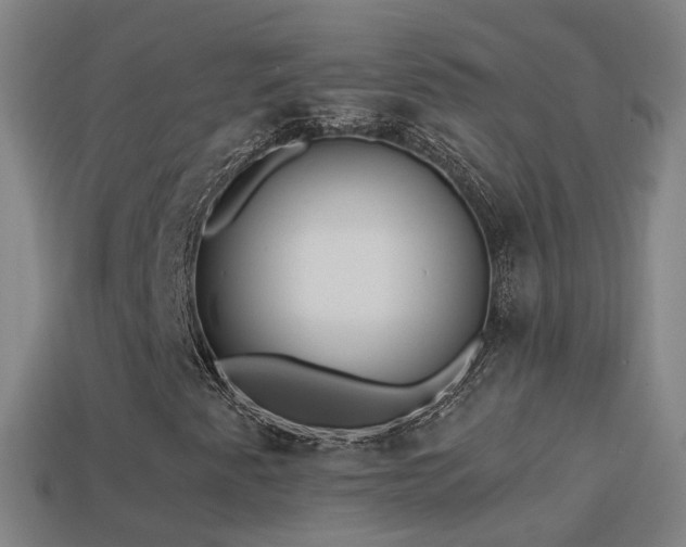 X0000114411345200910161157