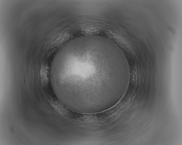 X0000114411346200910161157
