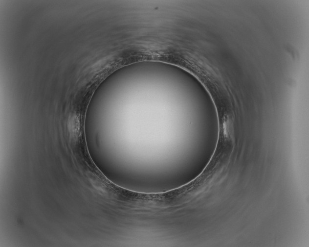 X0000114411347200910161157