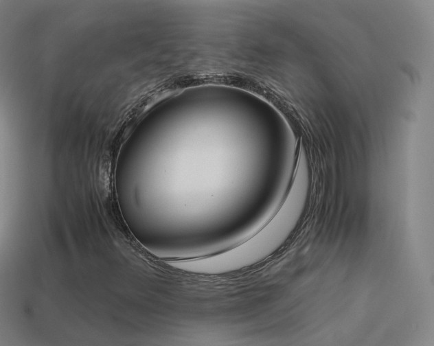 X0000114411348200910161157