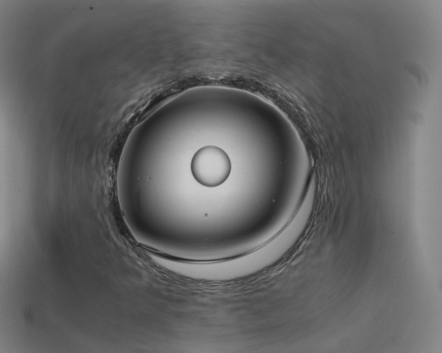 X0000114411349200910161157