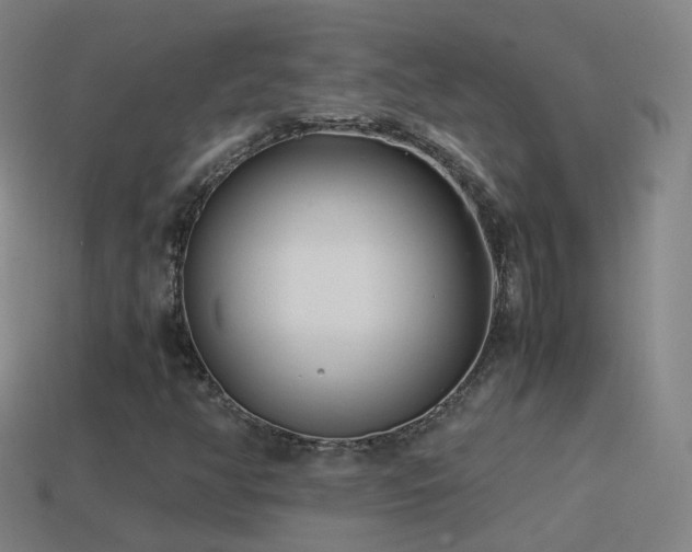 X0000114411350200910161157