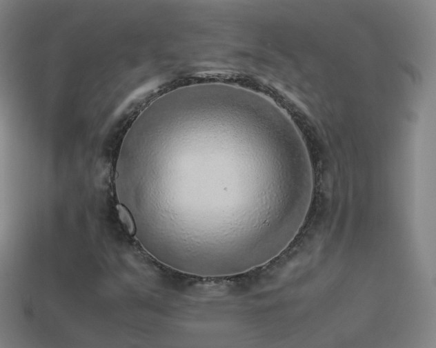 X0000114411351200910161157