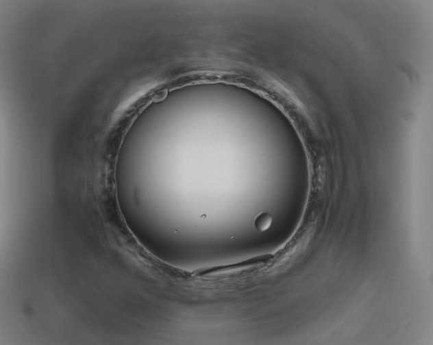 X0000114411352200910161157