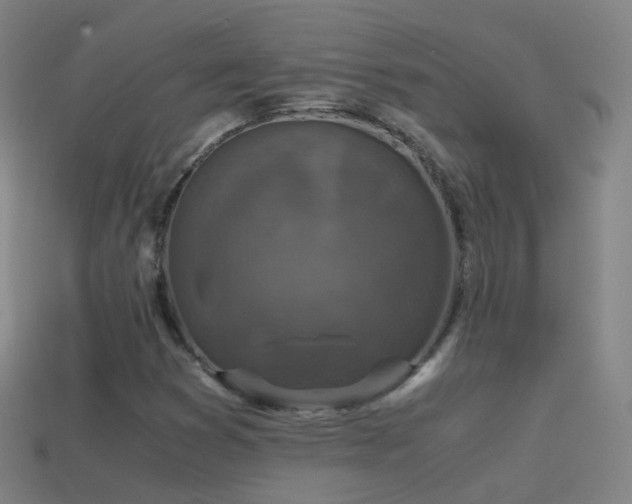 X0000114411353200910161157