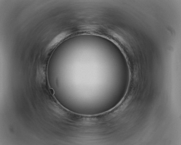 X0000114411354200910161157