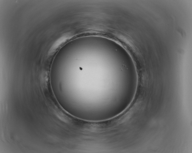 X0000114411355200910161157