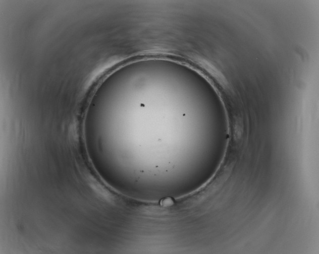 X0000114411356200910161157