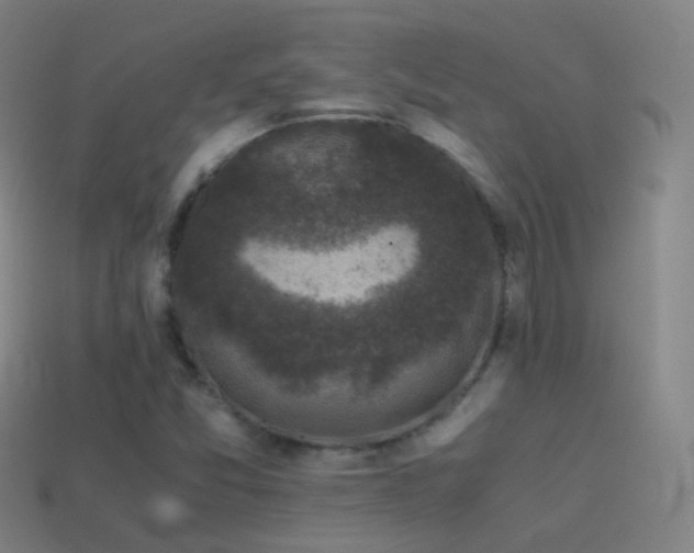 X0000114411357200910161157