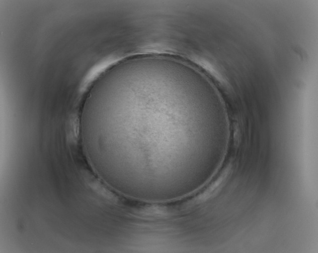 X0000114411358200910161157