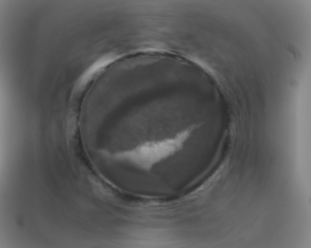 X0000114411359200910161157