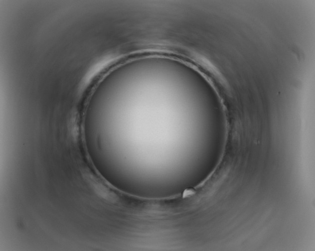 X0000114411360200910161157