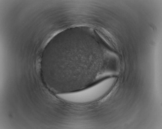 X0000114411361200910161157
