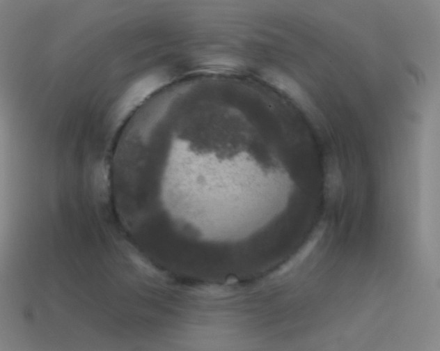 X0000114411362200910161157