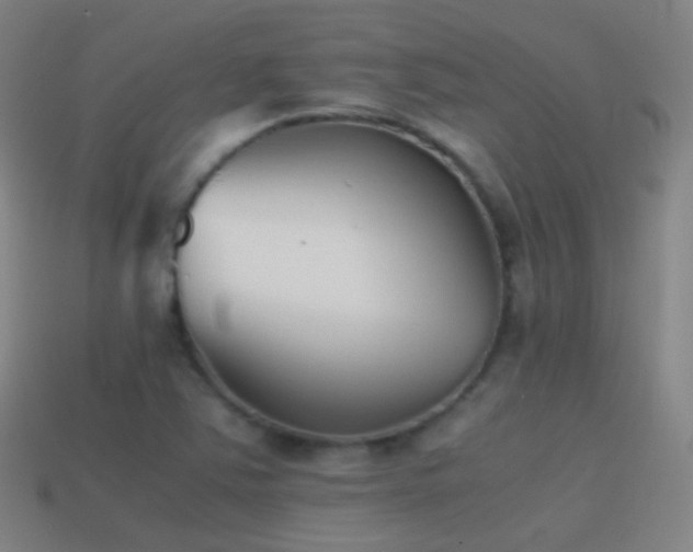 X0000114411363200910161156