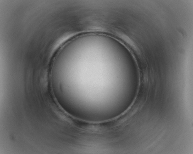X0000114411364200910161156