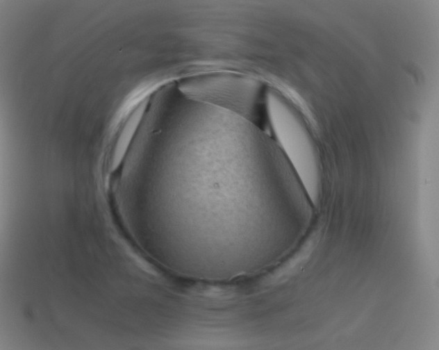 X0000114411365200910161156