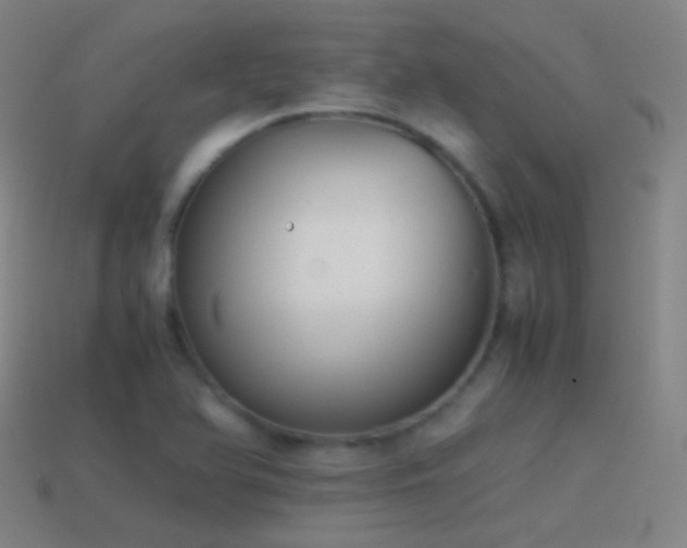X0000114411366200910161156