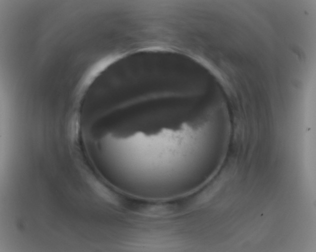 X0000114411367200910161156