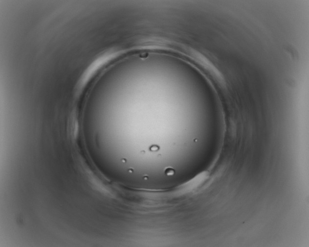 X0000114411368200910161156