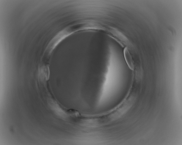 X0000114411369200910161156