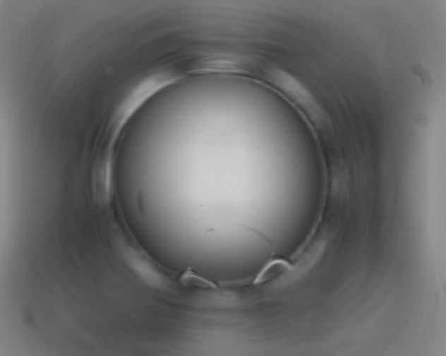 X0000114411370200910161156