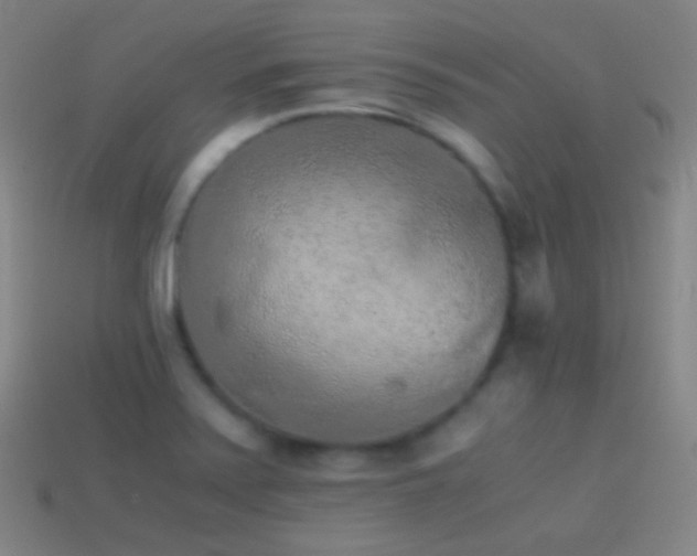 X0000114411371200910161156