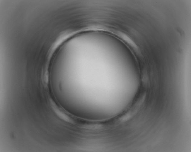 X0000114411372200910161156