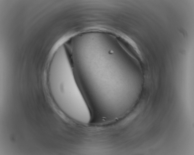 X0000114411373200910161156