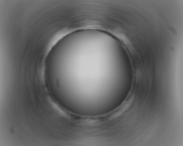 X0000114411374200910161156