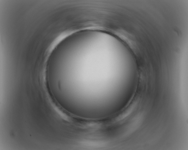 X0000114411375200910161156