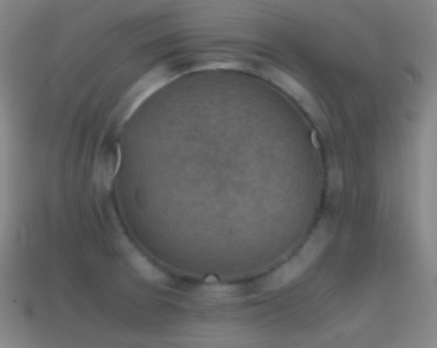 X0000114411377200910161156