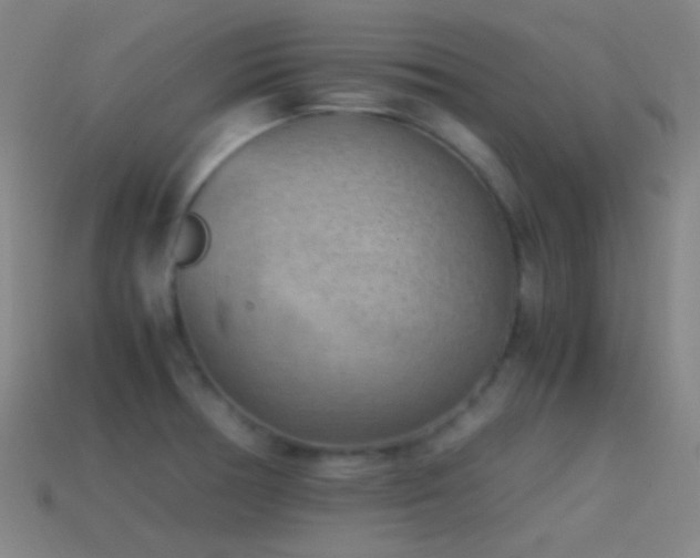 X0000114411378200910161156