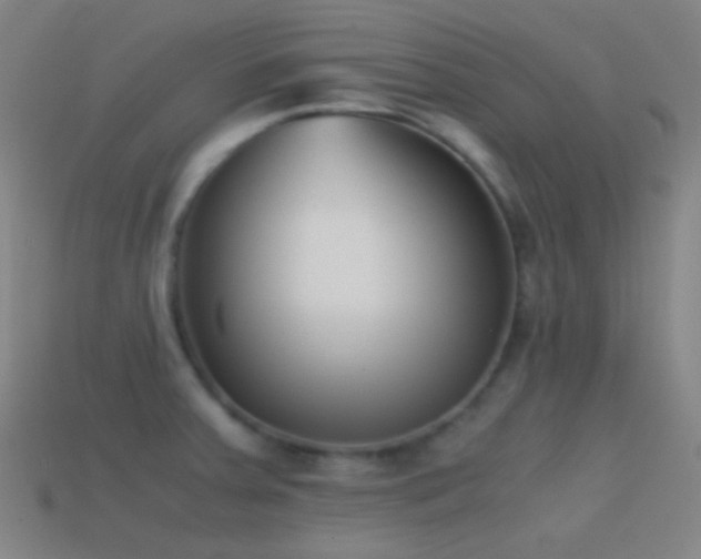 X0000114411379200910161156