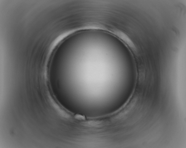 X0000114411380200910161156