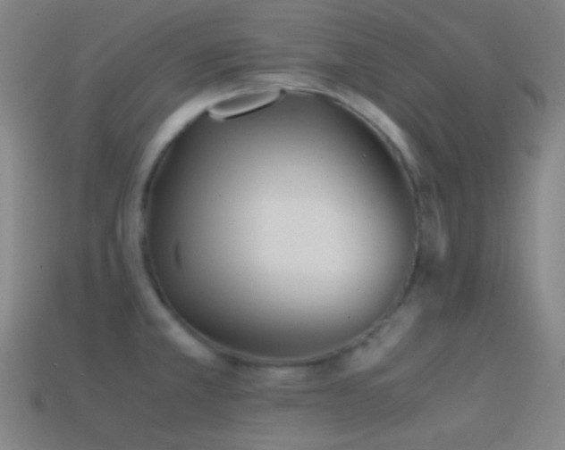 X0000114411381200910161156