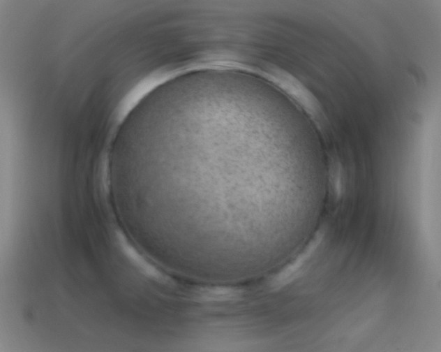 X0000114411382200910161156