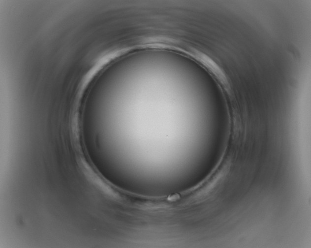 X0000114411384200910161156