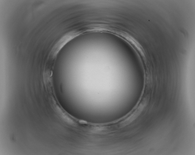 X0000114411385200910161156