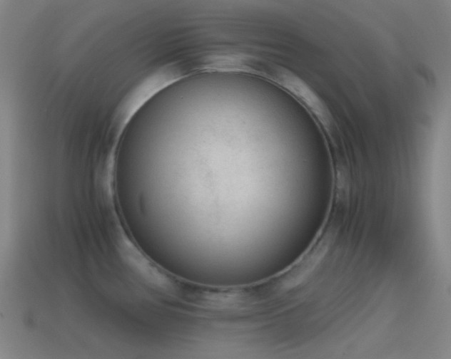 X0000114411386200910161156