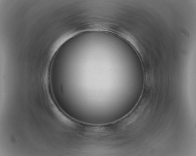 X0000114411387200910161156