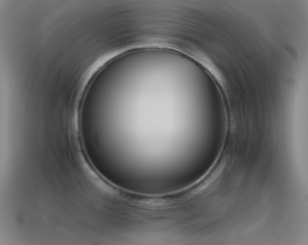 X0000114411388200910161156