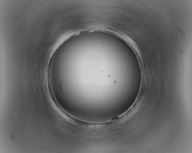 X0000114411389200910161156