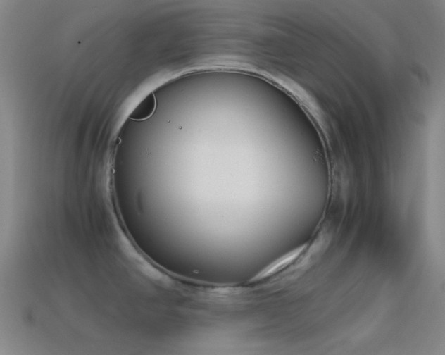X0000114411390200910161156