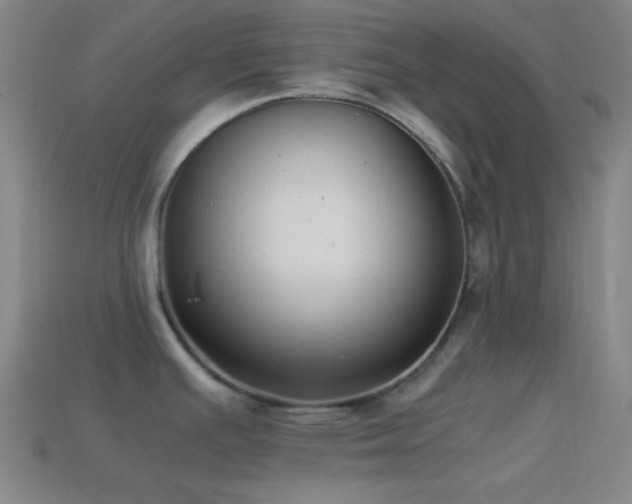 X0000114411391200910161156