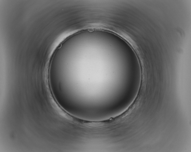X0000114411392200910161156